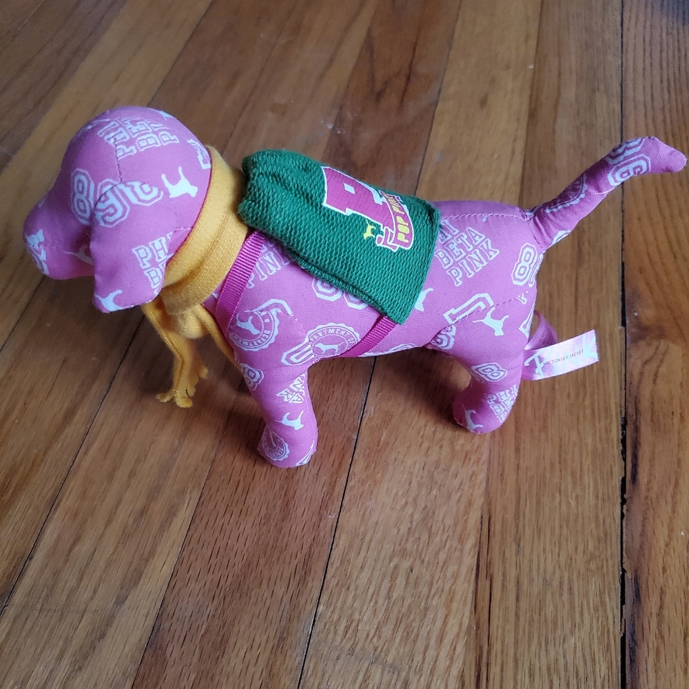 VS PINK "PHI BETA PINK" University Dog